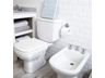 FERR-BARB-06-3.jpg